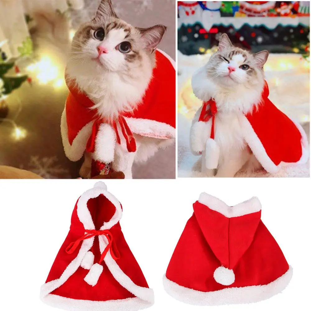 Adorable, Cat Christmas Outfit