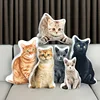 Winter New Customized photo pillow _ Personalized pet and character design _ Soft short plush polyester fiber _ Hand washable 5