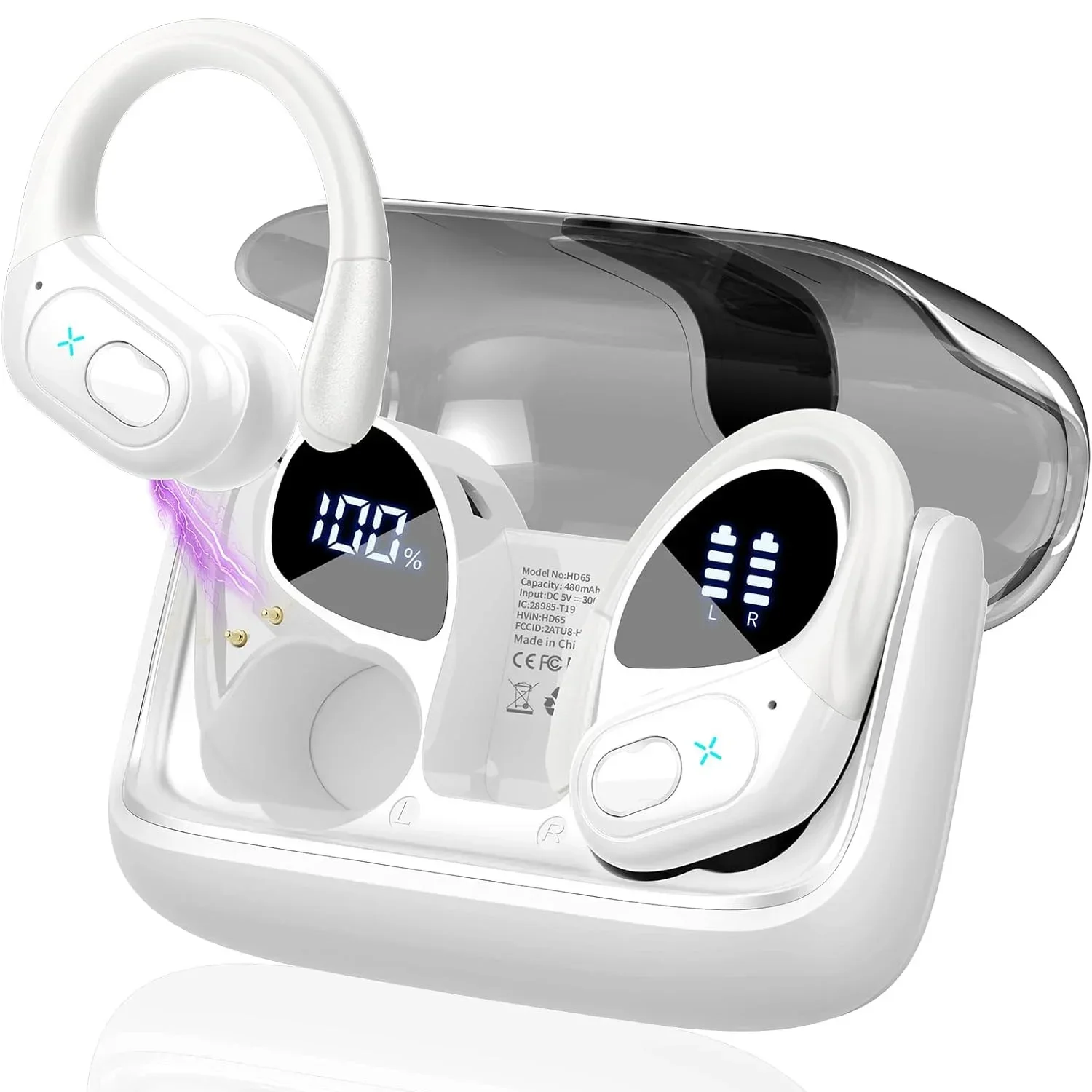 Money Bunny - 10x Wireless - Black main image 0