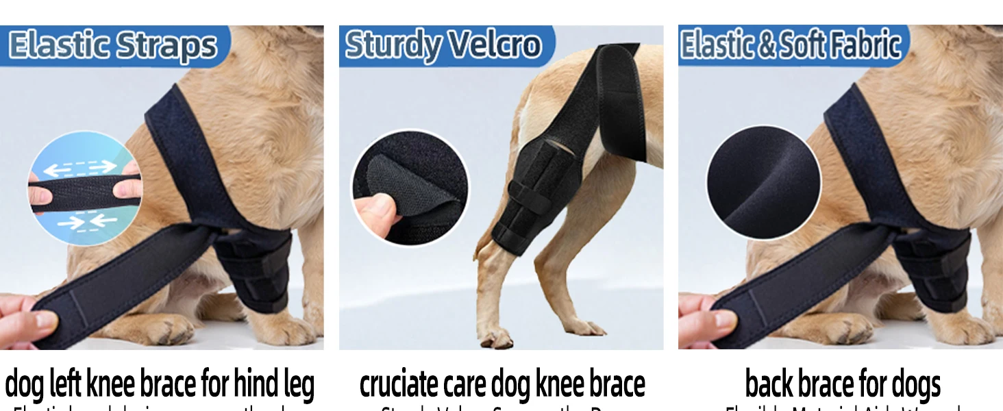 dog knee brace