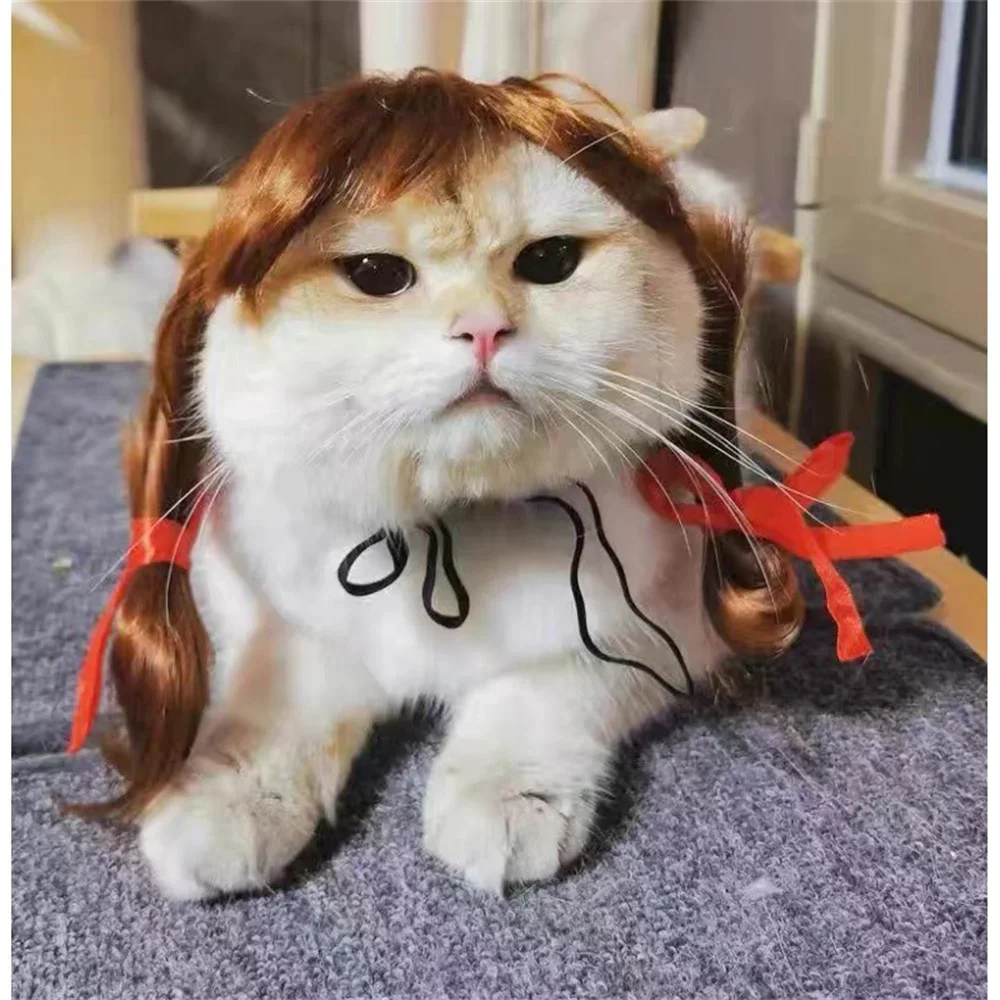 Interessante Kat Puppy Haaraccessoires Huisdier Pruik voor Katten Kleine  Honden Kitten Cosplay Hoed Pak voor Party Halloween katzen zubehör -  AliExpress, image size:1000x1000