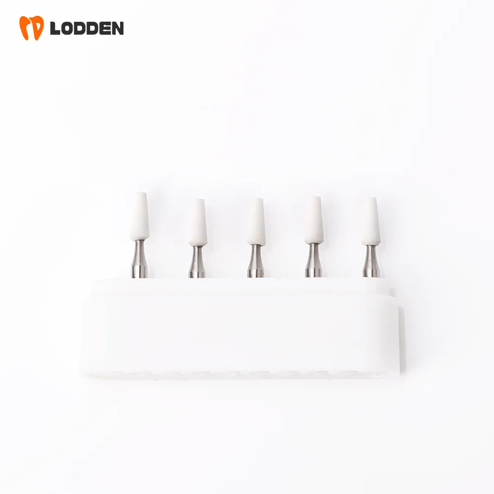LODDEN 5 Stück Dental-Polierbohrer aus weißem Stein mit niedriger Geschwindigkeit, Kegel-/Flammen-/runde Form, Abriebbohrer RA für Polishin-Verbundwerkzeuge – Detail 15