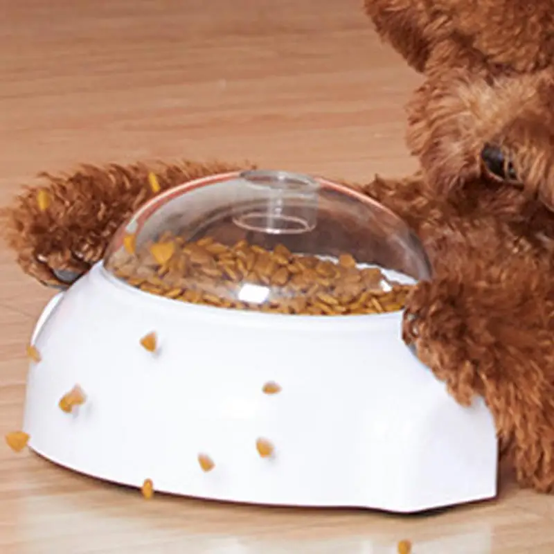 ��ȭ �� �� ġ�� ���漭 ������ ġ�� �Ѹ� ���漭 ���� ���� ���� �Ǵ� ������ �������� ���� �Ʒ� �峭��