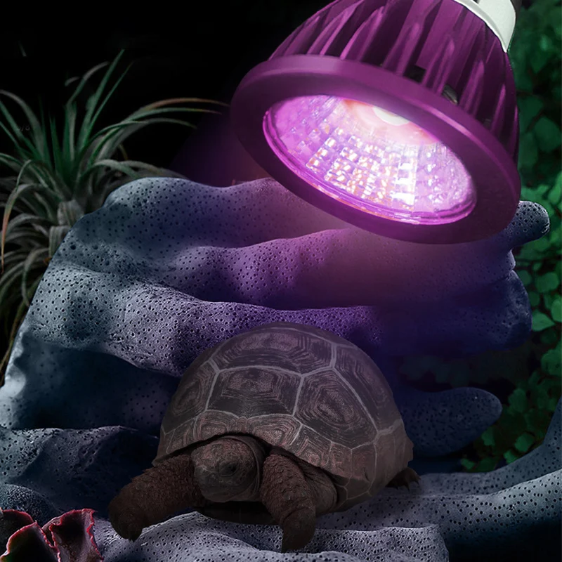 Reptile Night Lamp Imitation Moonlight Night Sleep Lighting Lamp for Turtle Lizard Snake Reptile Amphibian Accessories 파충류 사육장 Reptile Night Lamp Imitation Moonlight Night Sleep Lighting Lamp for Turtle Lizard Snake Reptile Amphibian Accessories 파충류 사육장