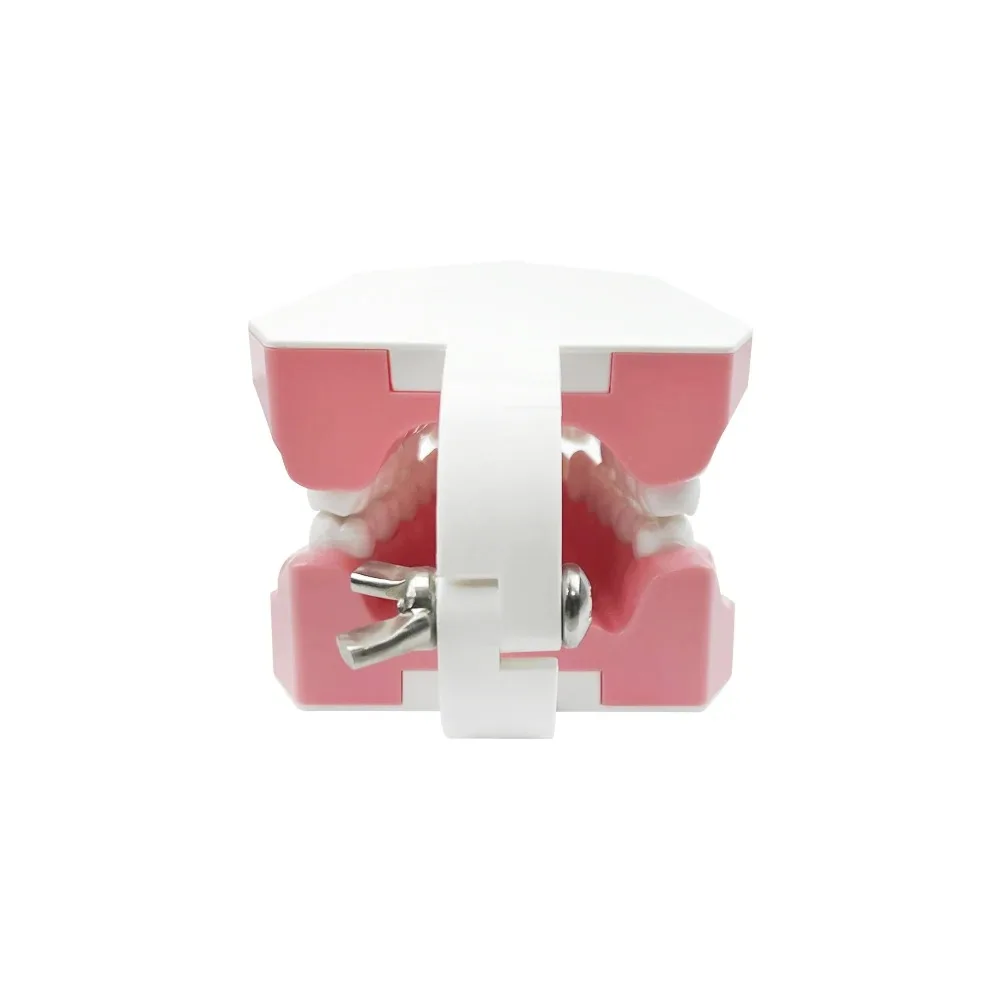 Dental Care Educational Tool for Brushing and Flossing Practice