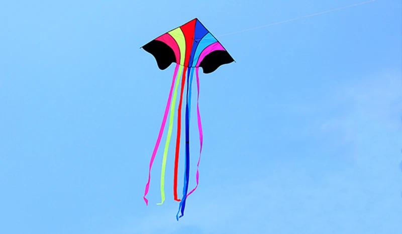 High-Quality Rainbow Eagle Kite for Kids - Durable Ripstop Nylon Fabric and Strong Line rainbow kite