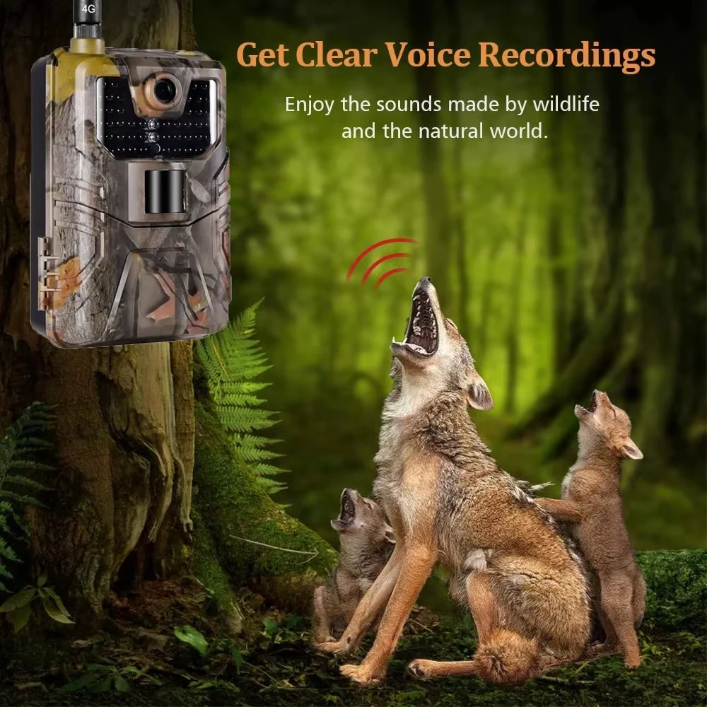 Live Broadcast 4K 36MP APP Trail Camera Cloud Service Wildlife Hunting Surveillance 940nm 4G Wireless CameraHC900PRO Photo Traps 6