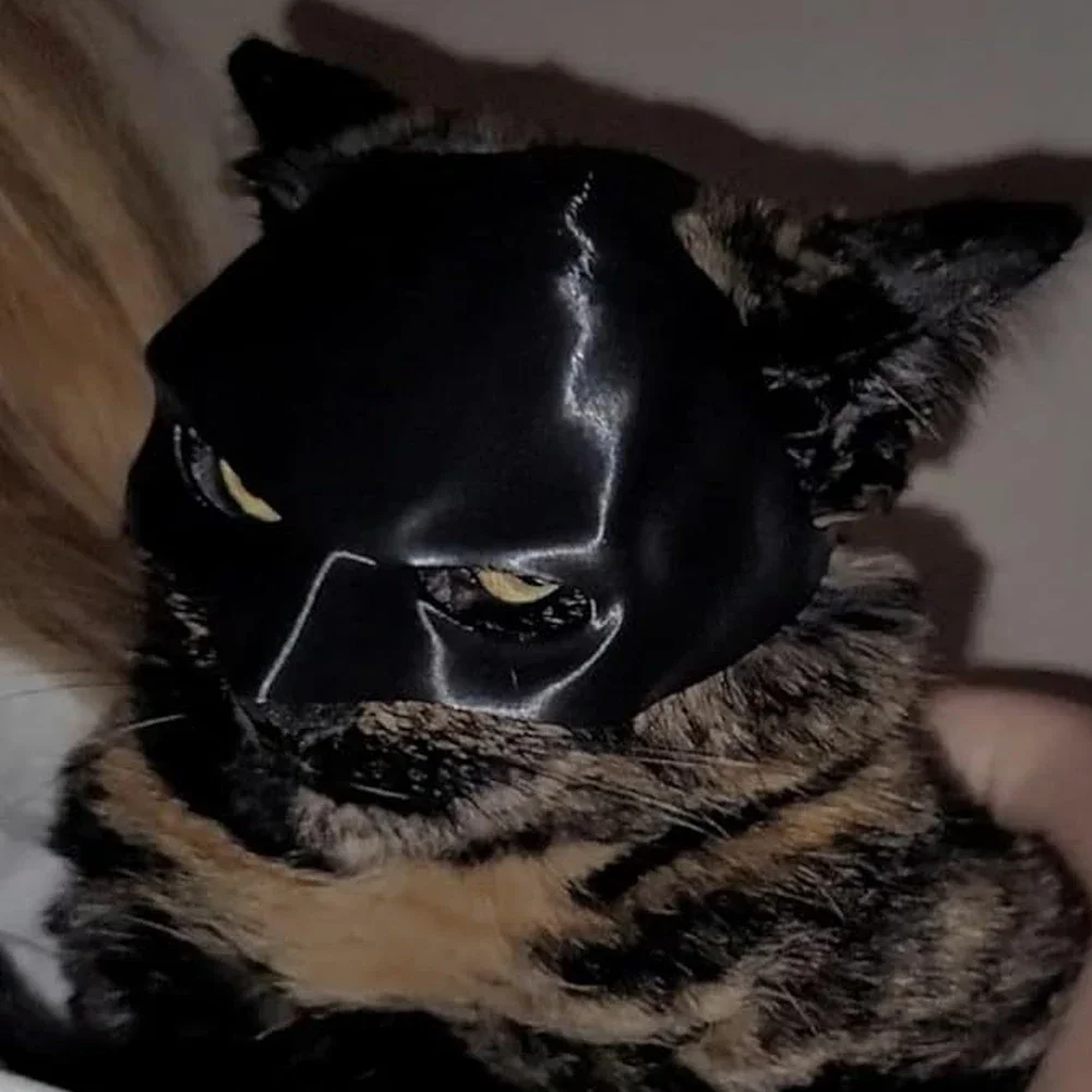 Black Bat Cat Warrior Mask Cat Mask Cosplay Assassin Matte Cute Bat Cool Superhero Pet Dog Toy Dog Costume Pet Clothes Pet Toys