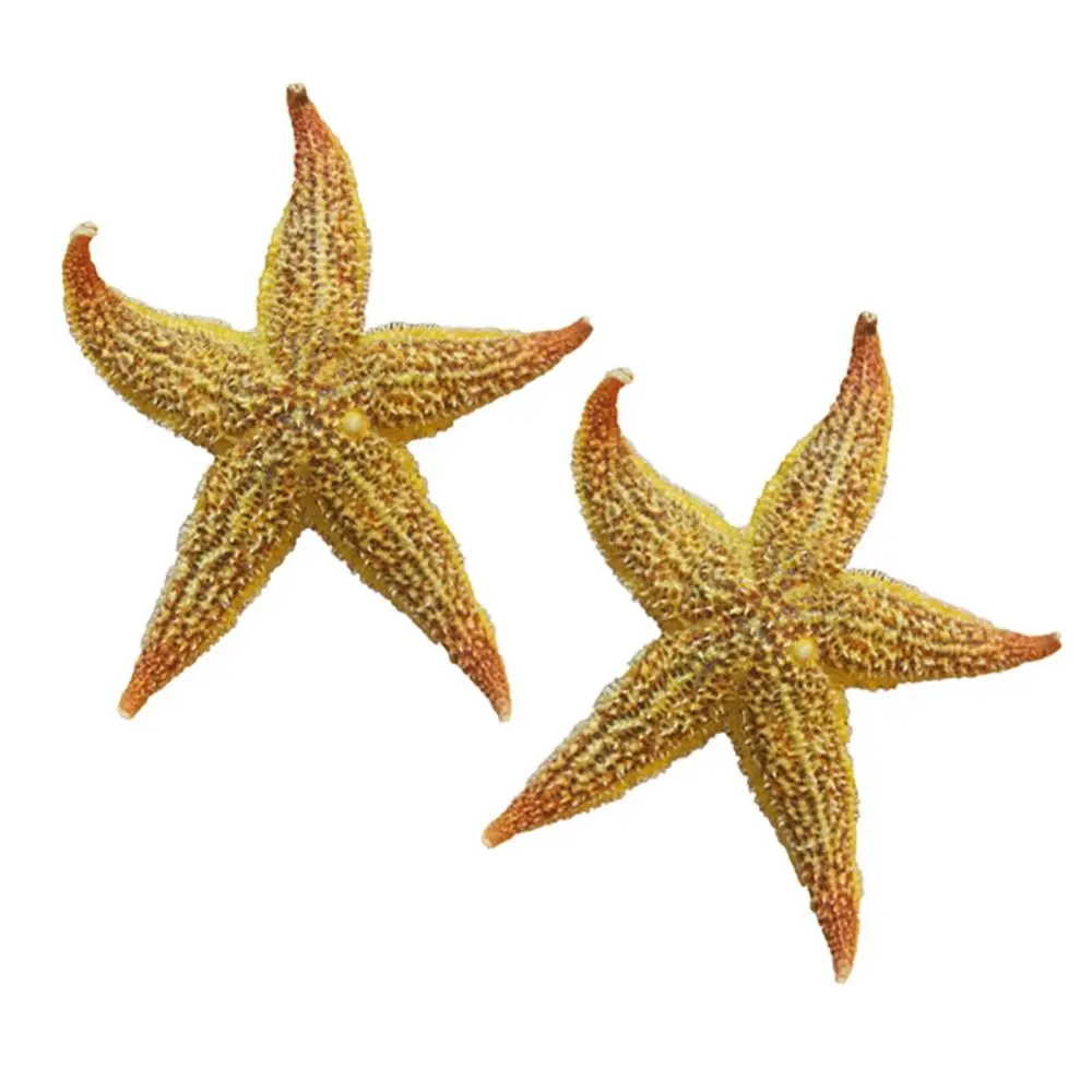 Resin Starfish Ornaments 10-16cm 2Pcs Flat Dried Starfish DIY Crafts Mini Sea Shells Ornaments Beach Craft For Wedding Party Home Photo Props Decoration