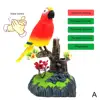 Clapping Voice Control Induction Electronic Parrot Children's Toy Bird Gift Garden Display Pet Toy Electric Sound K7x3 6
