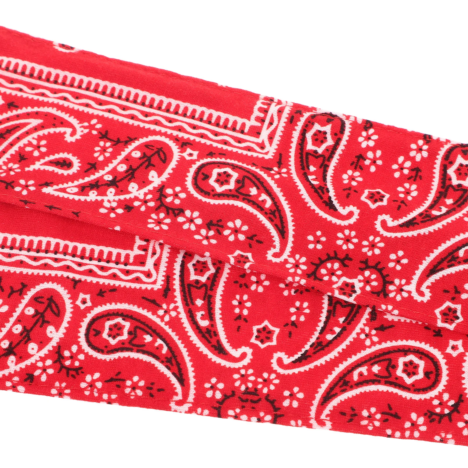 Slide image 4819815f988c4c4fb97c84a1d2e75279