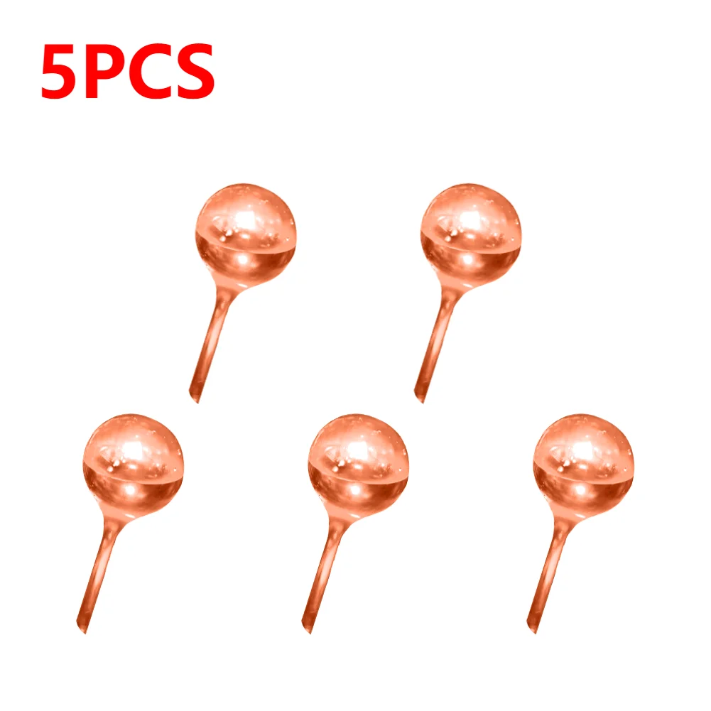 small orange#2
