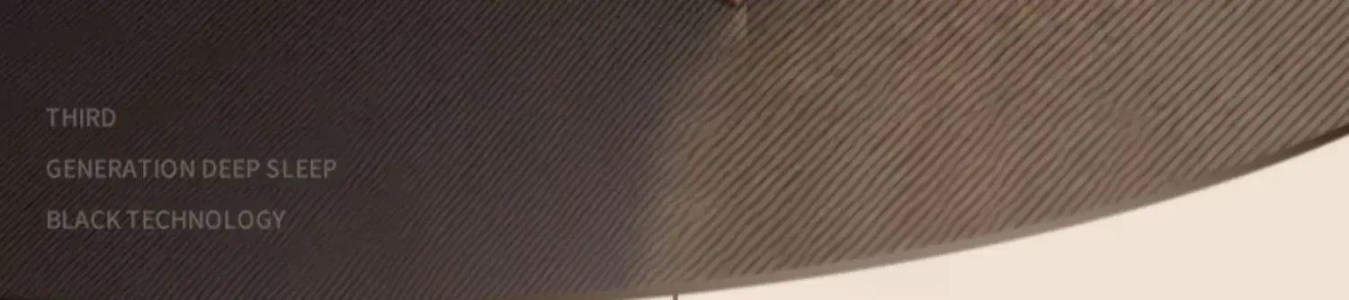 Description Picture 3 of itemBed Furniture for Bedroom Hymilo Mattress Trips Futon Tatami Folding Mattress Pillow Tataki Inflatable Sleeping Mattresses Air