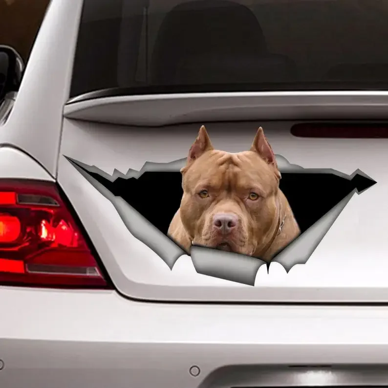 

STICKER / Brown American pitbull, car decal, Vinyl decal,Pet sticker, Dog decal, Pitbull decal