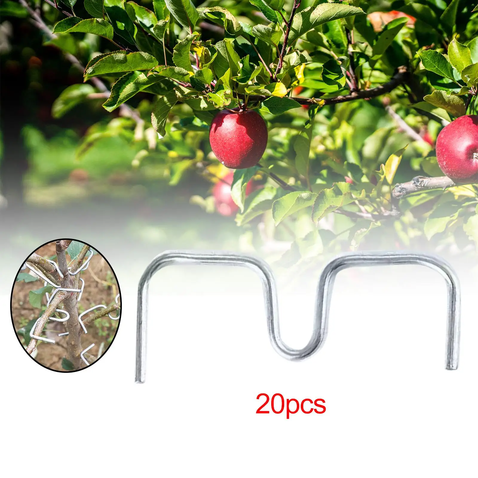 20x Tree Branch Puller Fruit Tree Planting Tool Fruit Branch Spreader Improve Yield Shaping Branches fruit tree spreader