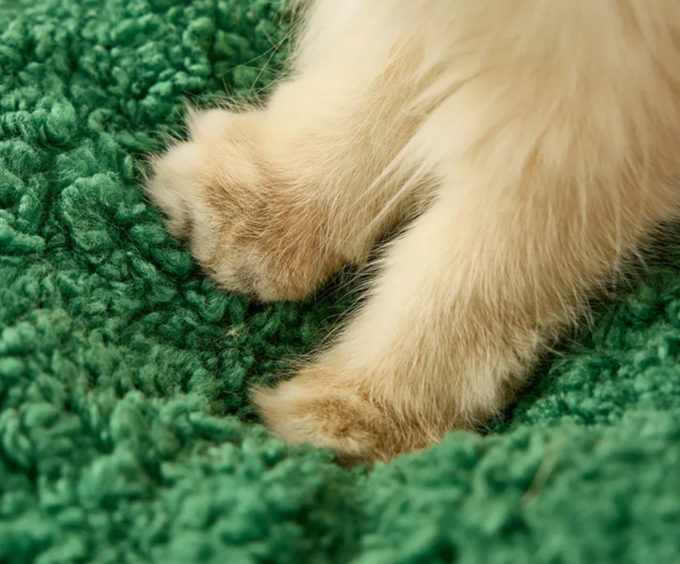 Christmas Cat/Dog Nest Warm Comfortable Plush. Dogs Cats Everything