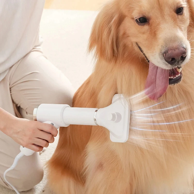 New Upgrade 2-in-1 Dog Hair Dryer Adjustable Speed Temperature Cat Dog Grooming hair dryer Comb Brush Low Noise Pet Products