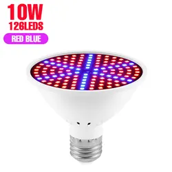 Full Spectrum 20W LED Grow Light Bulb for Indoor Plant Cultivation & Growth (E27 Red Blue 126LEDS)