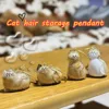 Cat Lover Gift Keychain Pendant Hanging Decor Pet Hair Storage Box Backpack Souvenir Transparent capsule storage pendant