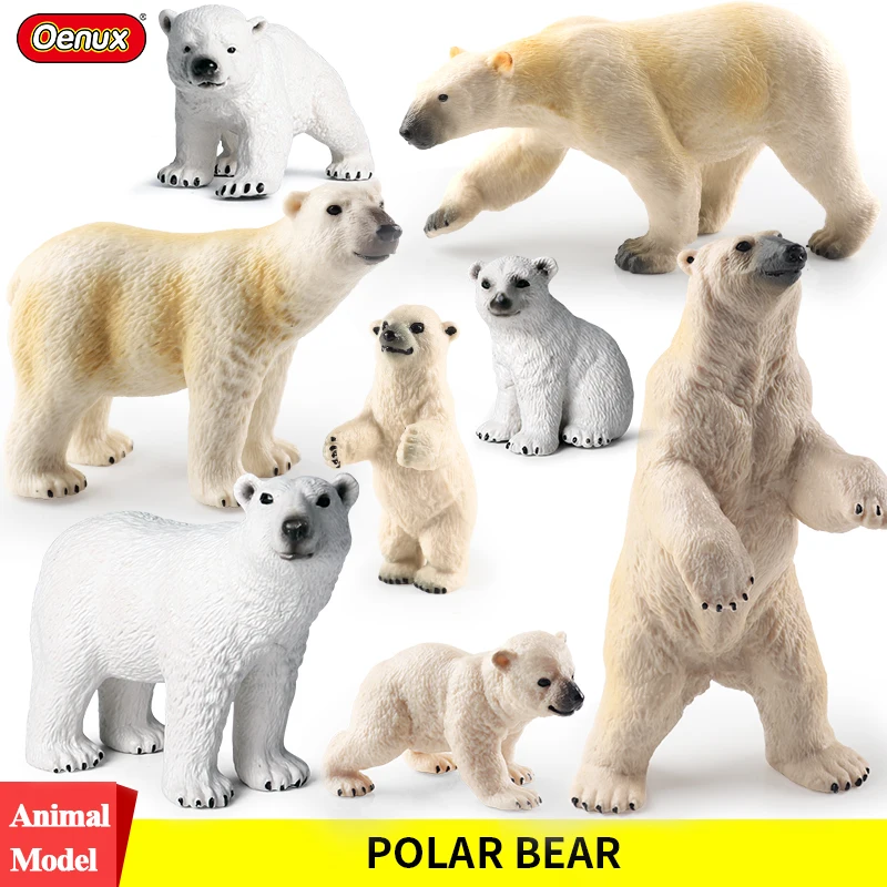 Oenux Arctic South Pole Animals Simulation Polar Bear Ursus
