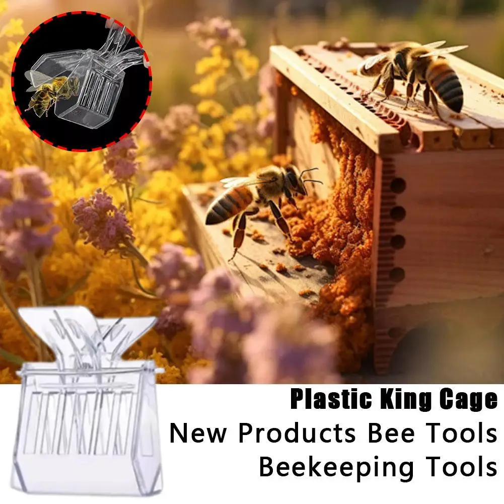 5pcs/1pc Plastic Book Clip Type Queen Cage Transparent Queen Catching Clamp Bee Controller Beekeeping Tools,beekeeping tools,beekeeping accessories
