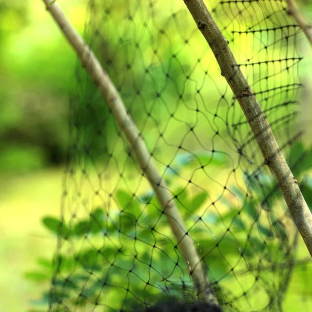 Fekete Anti -Madárvédelem Nettó Háló Kerti Növényhálózat Védje A Növényeket És Gyümölcsfákat Madarak Szarvas Baromfi Legjobb Kerítés - Image 5