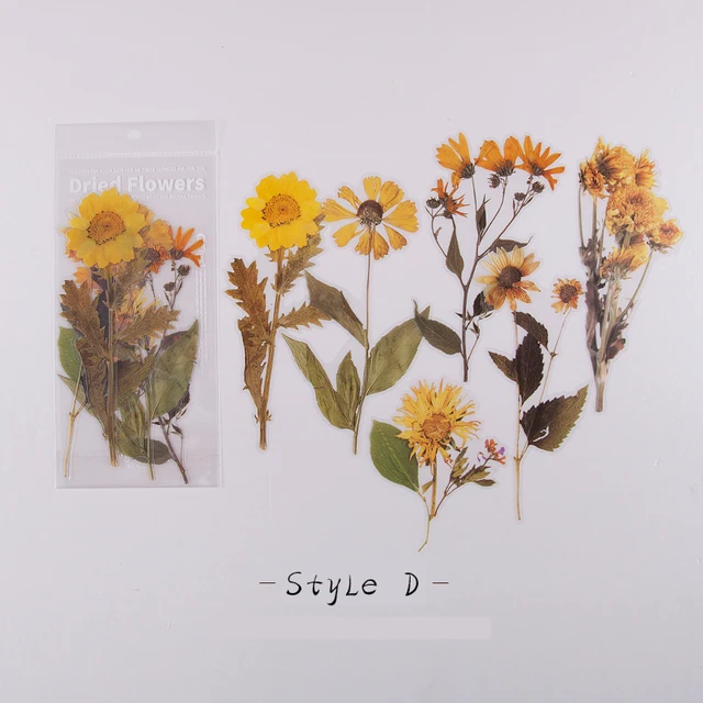 Mr.paper 8 Designs 6Pcs Weekend Flowers Deco Stickers Scrapbooking Styling Toy Deco Album DIY Stationery Stickers D