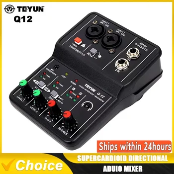 TEYUN Q12 2 Channels Professional portable Audio Interface sound card console mini USB MIXER for Guitar Recording Studio Singing 1