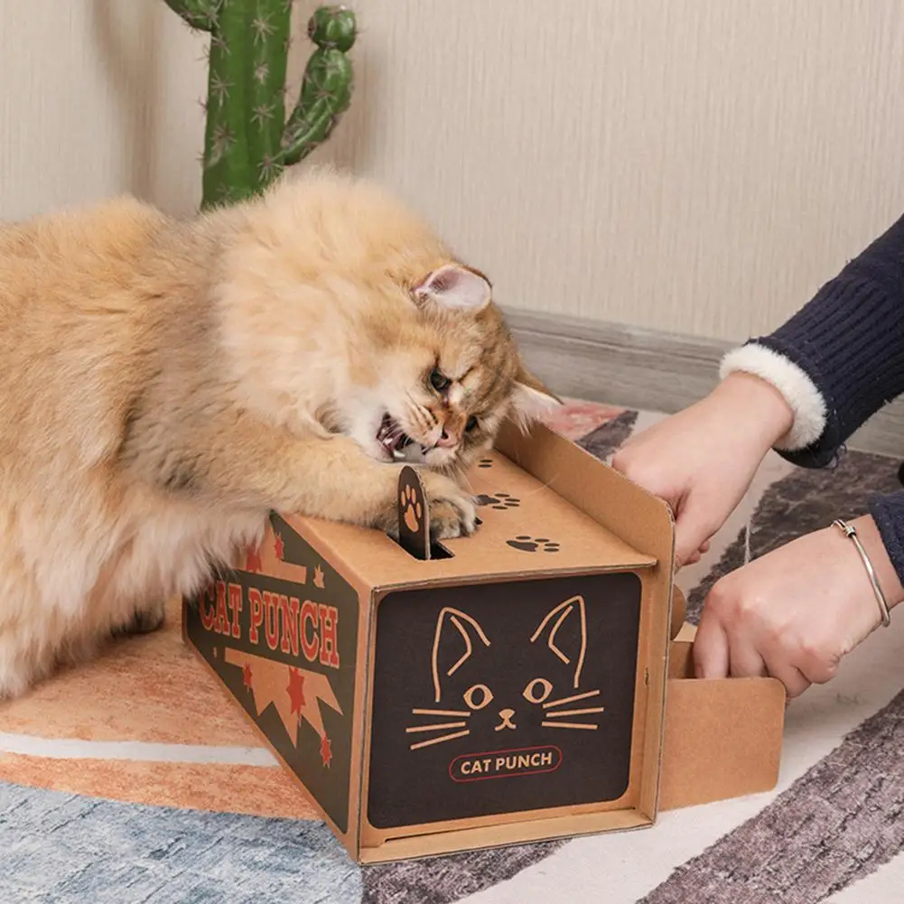 Cat Enrichment Toys for Indoor Cats, Whack a mole cat Toy with cat  Scratching pad, Cat Cardboard Box to Make Lots of Fun, cat Interactive Toy  to Relieve Boredom and Train IQ.