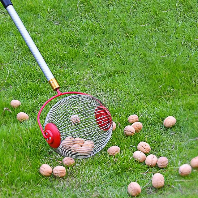 Kültéri Válogató Anya Gyűjtő Újrahasznosítható Dió Gyümölcs Golflabda Kézikönyv Gördülő Kertészeti Mezőgazdasági Gyümölcsös Szerszám - Image 3