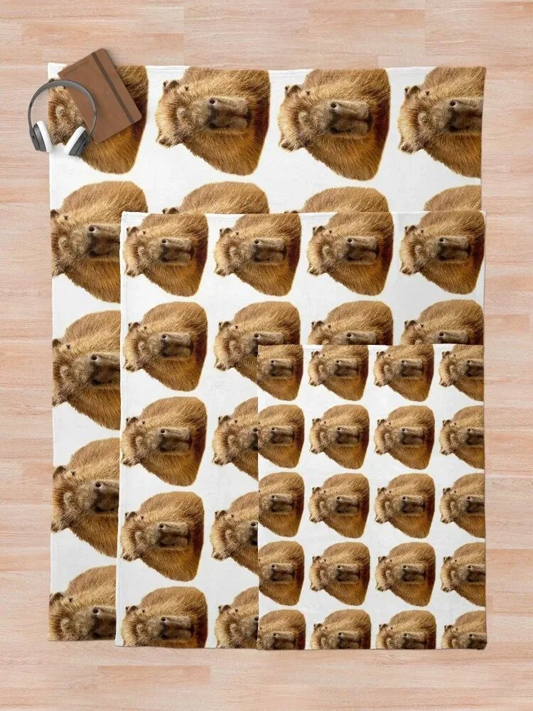 Capybara �޺� �Ʒ� ���� �ִ� ���, ������ �ܿ�, ǫ���� ���� ���� ħ��, ���� ���