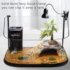 UVA+UVB Pet Reptile Lamp Clip-On Bulb Lamps Ceramic Stand E27 Reptiles Turtle Lizard Calcium Supplement Lamps Accessories EU/US 6