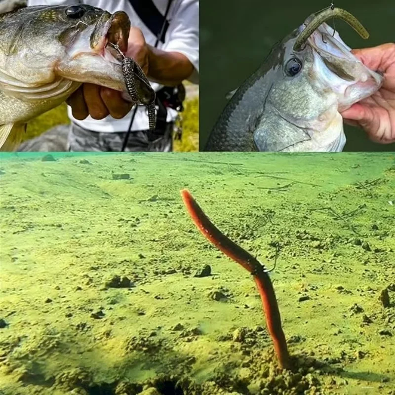 10pcs 20pcs 10cm 14cm Senko Worm Soft Bait Earthworm Salt Scent Infused Realistic Wriggle Elastic Soft Noodle Worm Lure Durable 5