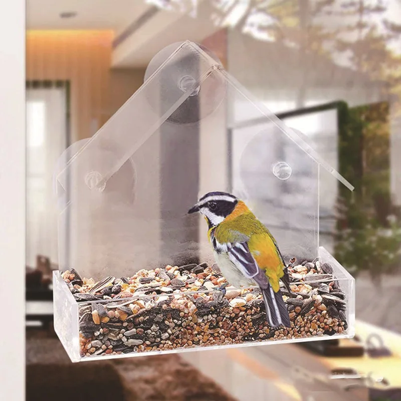 Mangeoire à oiseaux en acrylique, fenêtre transparente, plateau  d'alimentation pour animaux de compagnie, Transparent, Installation à  ventouse, Type