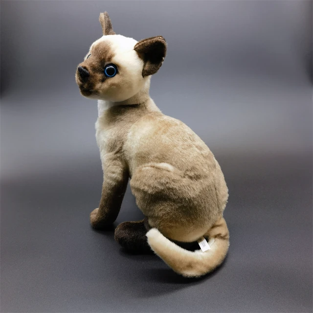 Cat Stuffed Animal Gato Siames De Peluche Gato Siamés De Alta