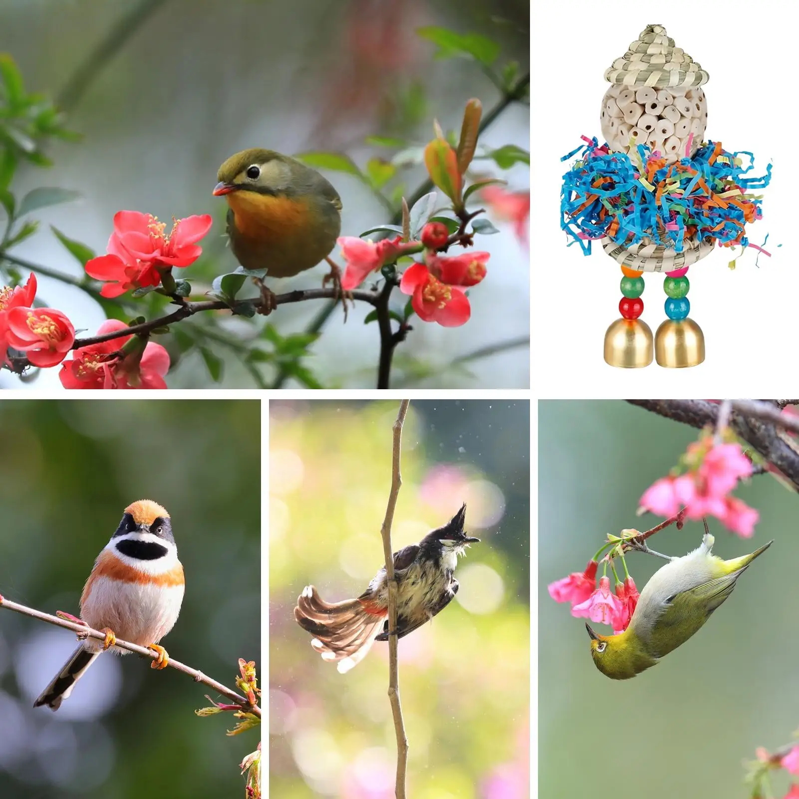 Parrot Foraging Toys 2 Pieces Shredding Toys For Birds Foraging Chewable Ball For Parrot Exercise Enrichment Play Cage Macaw