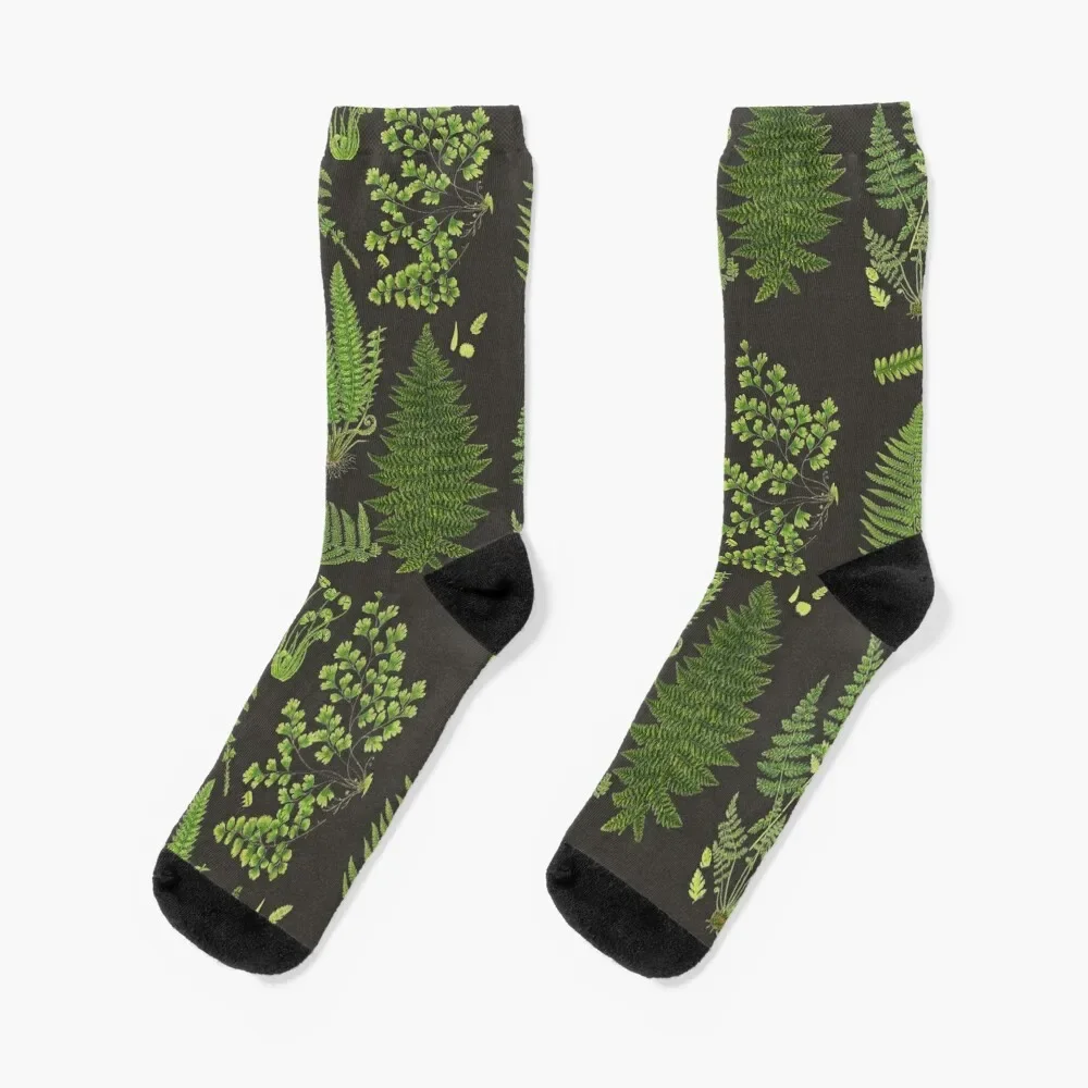 

Fern Chart study Socks funny gifts Antiskid soccer christmas gift Ladies Socks Men's