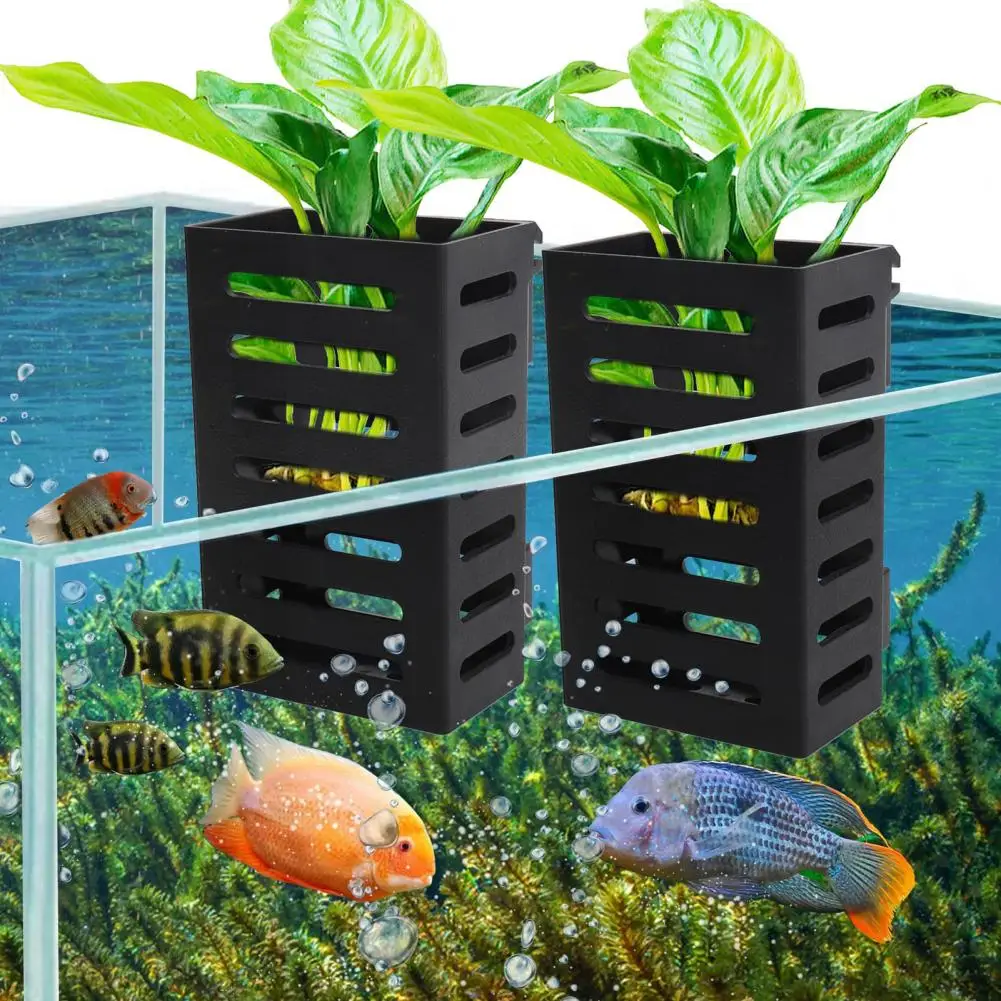  FEBSNOW Ventosas para acuario – Paquete de 20 ventosas para  acuario con ventosa para acuario, ganchos de succión con 30 bridas  ajustables para cables, para plantas, macetas, uniones de musgo y