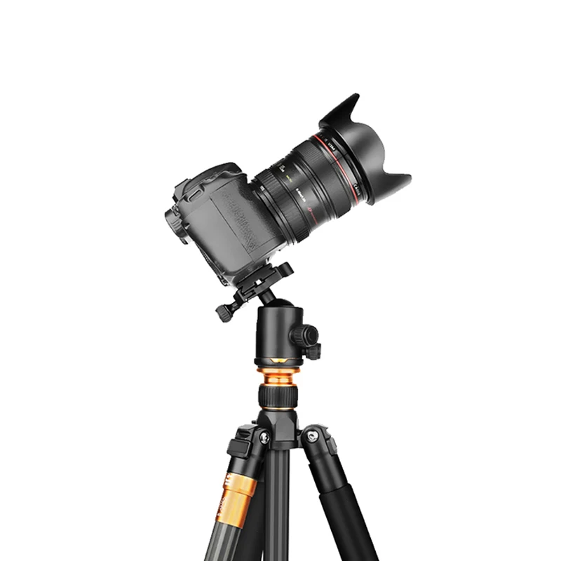 QZSD ź   ﰢ    , DSLR ī޶ ķڴ , ִ  159cm, Q999C