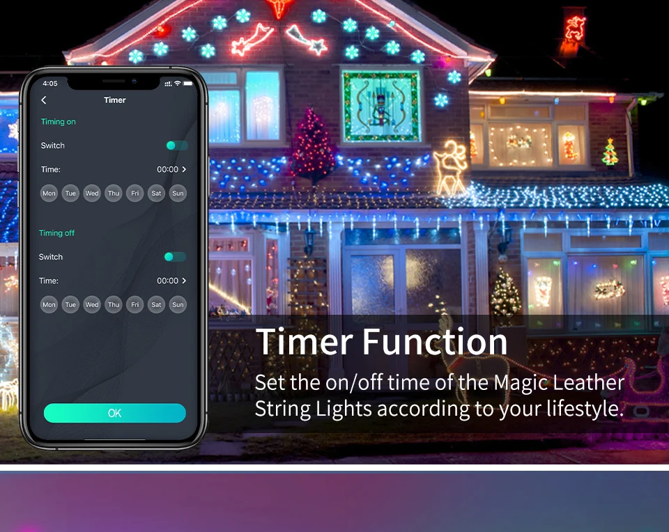 Dreamcolor Bluetooth RGBIC LED Fairy Lights