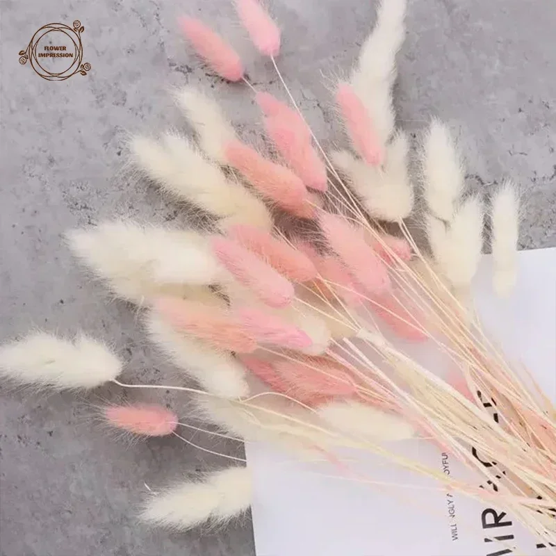 HUAESIN 120PCS Erba della Pampas Fiori Secchi Coda di Coniglio Blu Pampas Fiori Secchi Naturali Erba Coda di Coniglio Essiccati per Decorazioni Casa Tavola Matrimonio Vaso Feste HUAESIN 120PCS Erba della Pampas Fiori Secchi Coda di Coniglio Blu Pampas Fiori Secchi Naturali Erba Coda di Coniglio Essiccati per Decorazioni Casa Tavola Matrimonio Vaso Feste