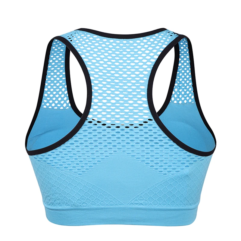 Mesh Sports Bra Hollow Out Sport Top Seamless Fitness Yoga Bras Women Gym  Top Padded Running Vest Shockproof Push Up Crop Top - AliExpress