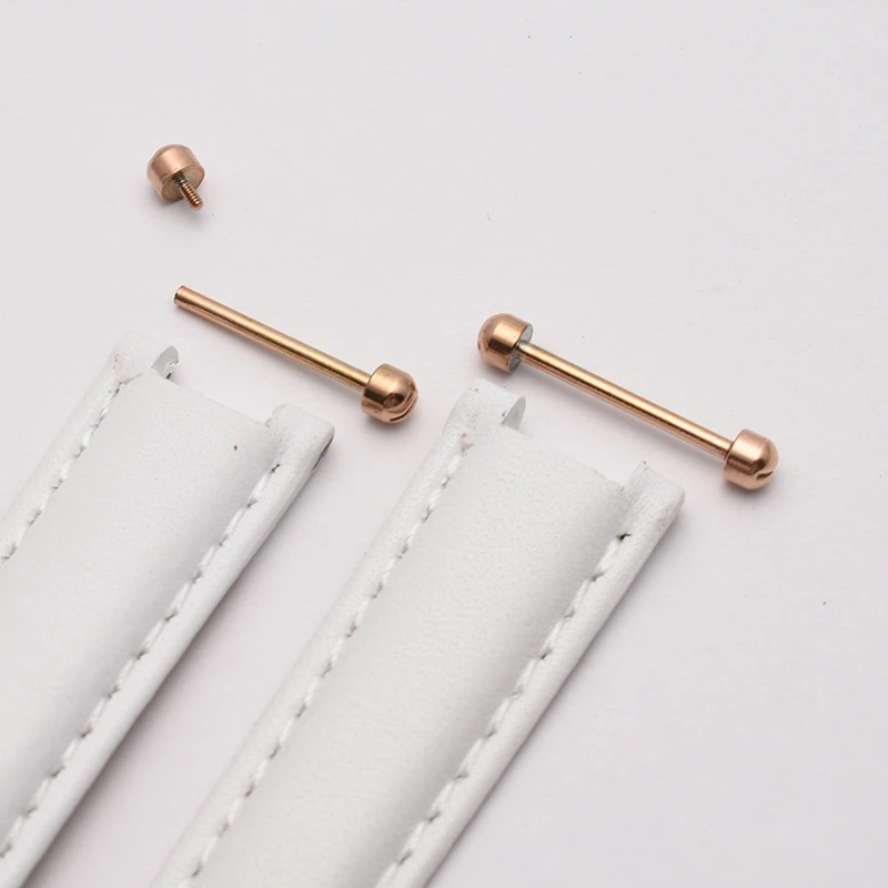 Watch Strap Repair Kit with Screw Tubes, Rods, and Clasp Adjustment Tools