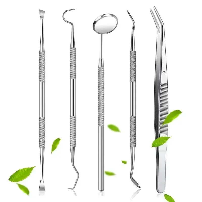 Stainless Steel Dentist Oral Tools Cleaning Flossing Tartar Removal Kit