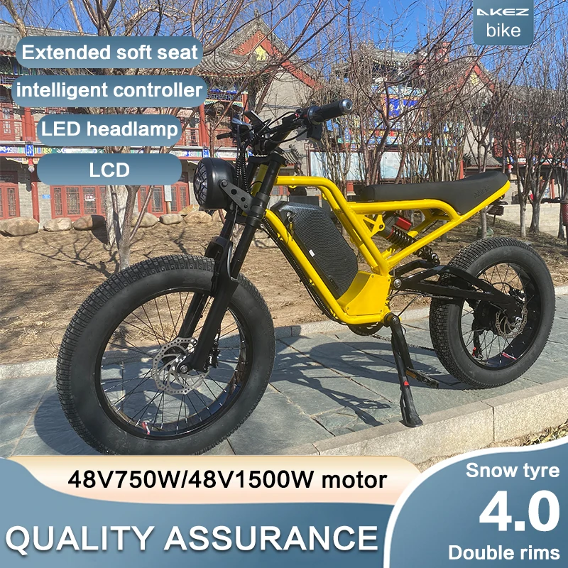 AKEZ 알루미늄 프레임 전기 자전거 레트로 오토바이 Ebike 유압 브레이크, 고성능 전기 오토바이
