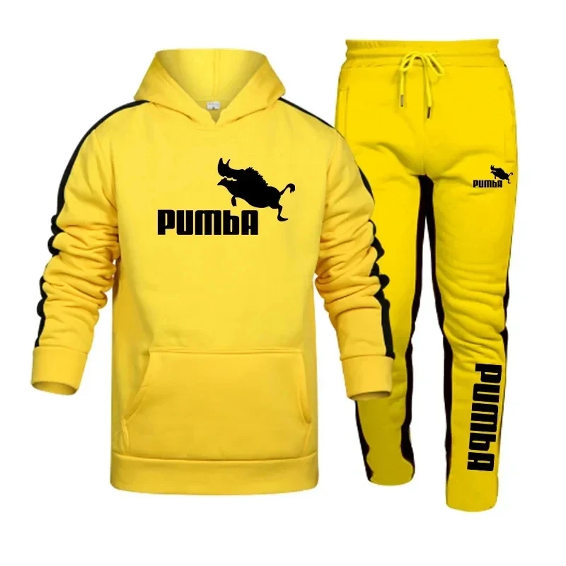 Men's Long Sleeve Hooded Sweater and Jogging Pants, Fitness Sportswear Set, Casual Fashion, Printed, Spring & Fall, 2-Piece, 202