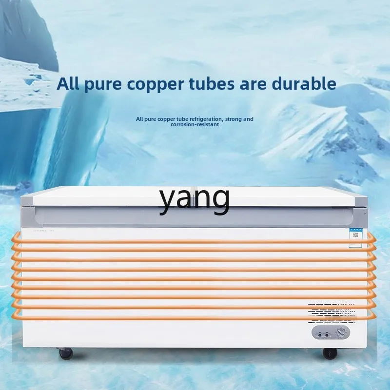 LMM Commercial Capacity Horizontal Household Refrigerator Refrigerated Freezer Single and Double Temperature Freezer