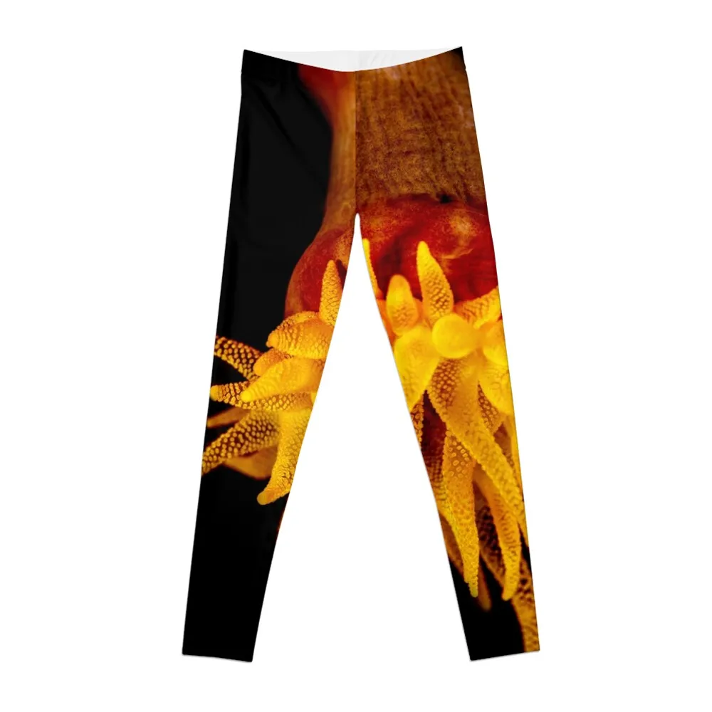 

Yellow Corals Leggings gym wear Sports pants for Women's tights sport set Womens Leggings