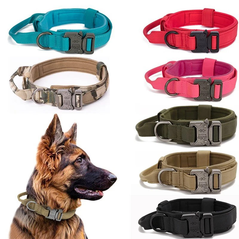 

Adjustable Nylon Belt Dog Collar with Handle, Pet Collar, Quick Release, Zinc Alloy Buckle, Small and Medium Dog