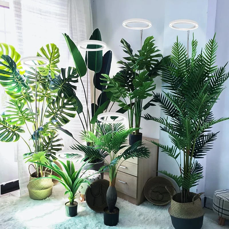 S590e75d4dfeb4e59b1a87b80f5e16686W